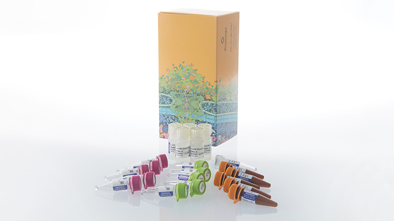 w1462lumitil8cxcl8humanimmunoassay3