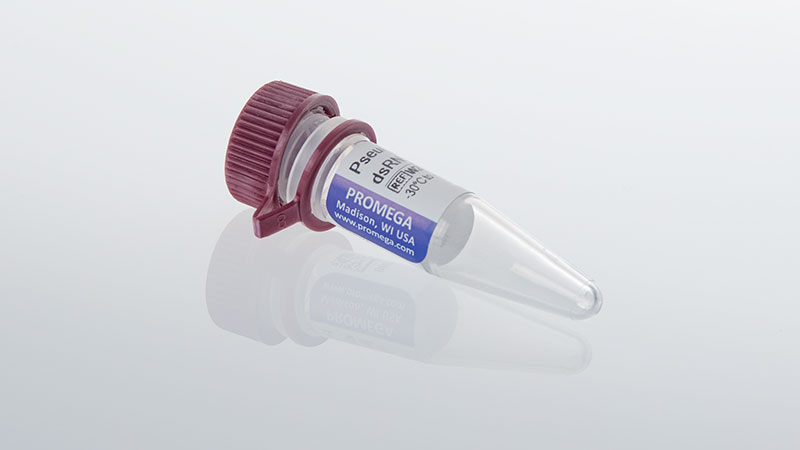 w2060-lumit-pseudouridine-dsrna-standard