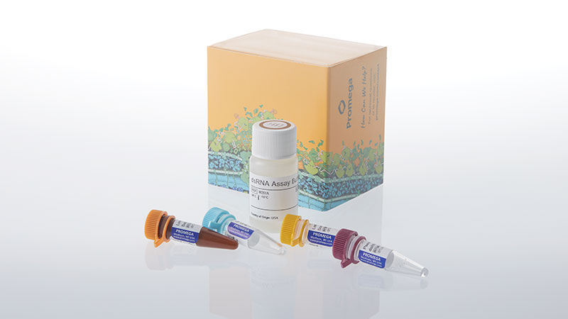 w2061-lumit-pseudouridine-dsrna-detection-assay