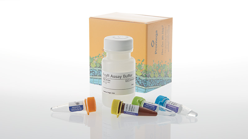 w7030-lumit-fcgriib-binding-immunoassay