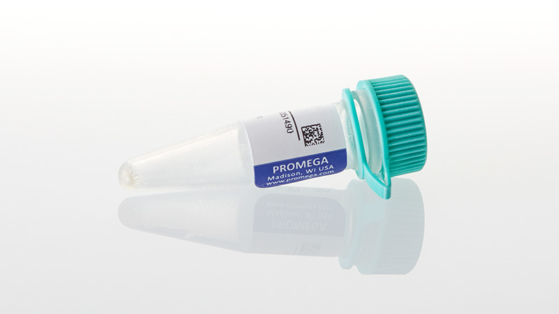 Z7041_Streptavidin-1mg_3