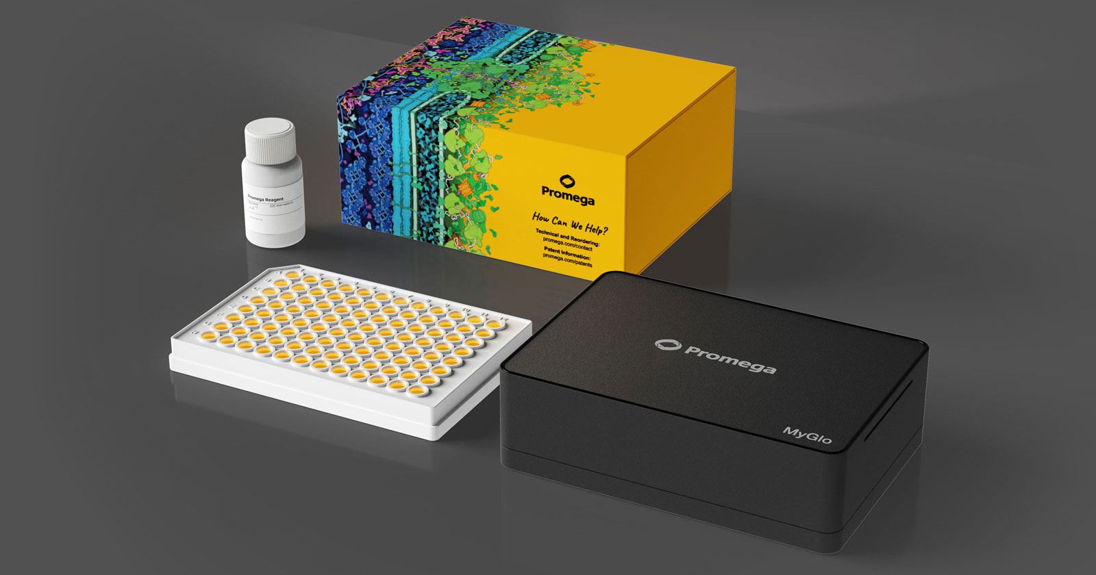 CellTiter-Glo® Luminescent Cell Viability Assay