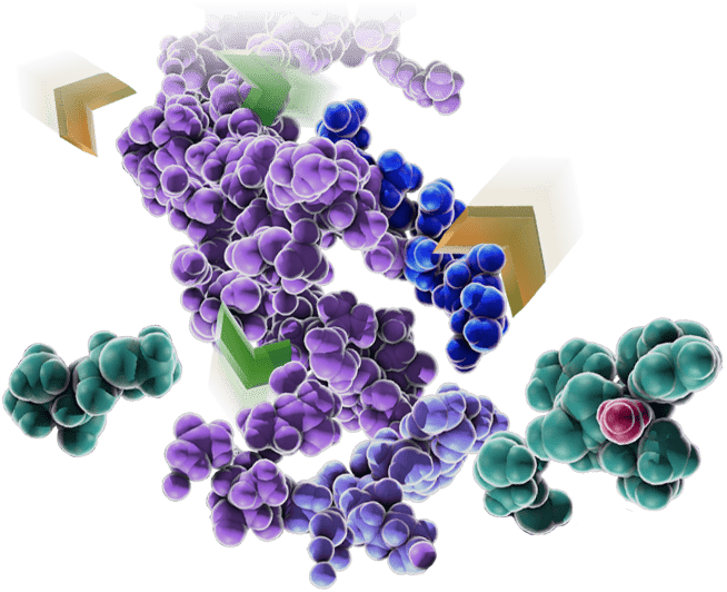 Rapid Trypsin Digest overview