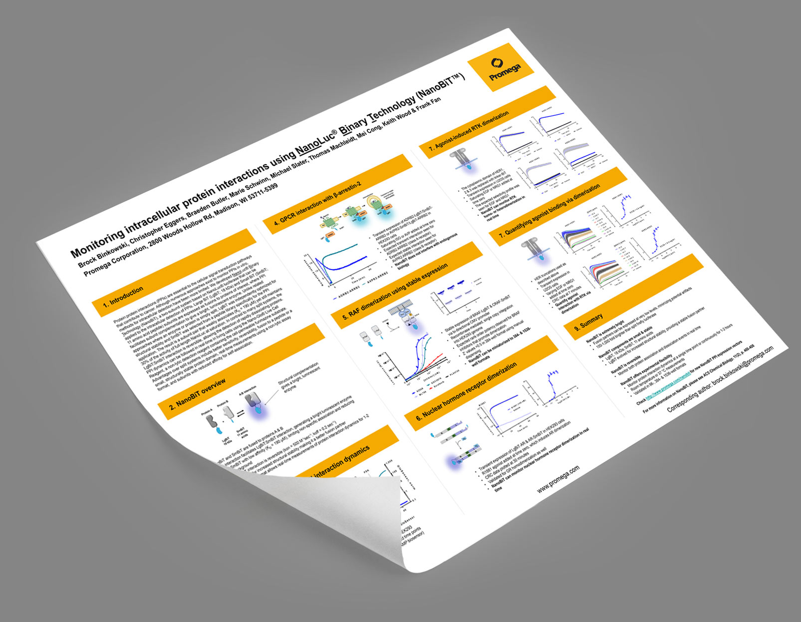 NanoBiT® PPI Starter Systems