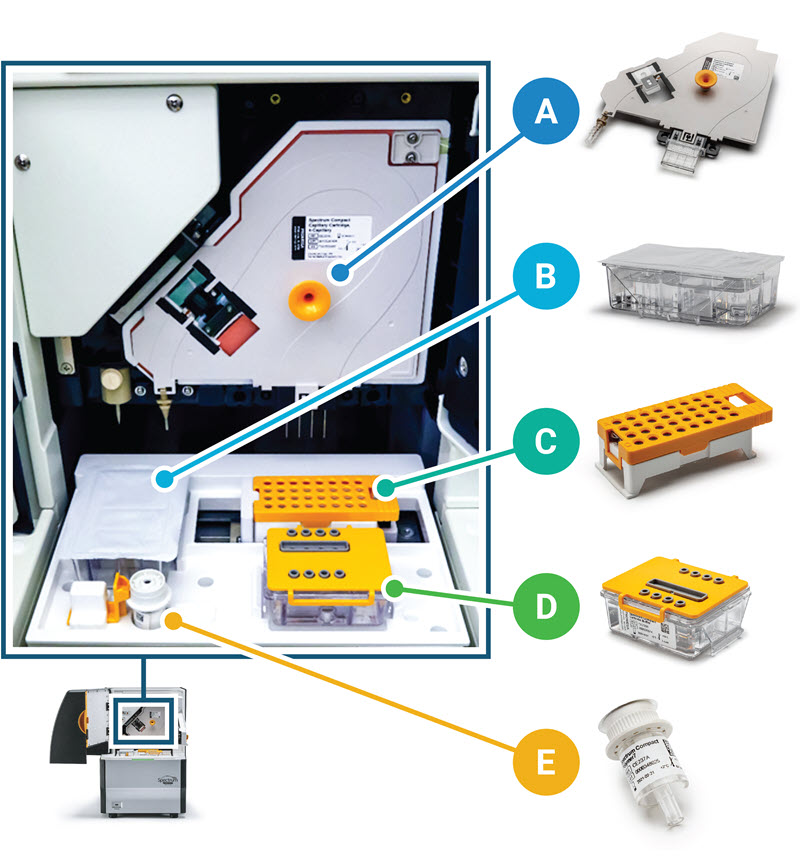 確認用　　NUCELLA  C&S Spectrum Compact CE System | 塩基配列検証 | DNAフラグメント解析