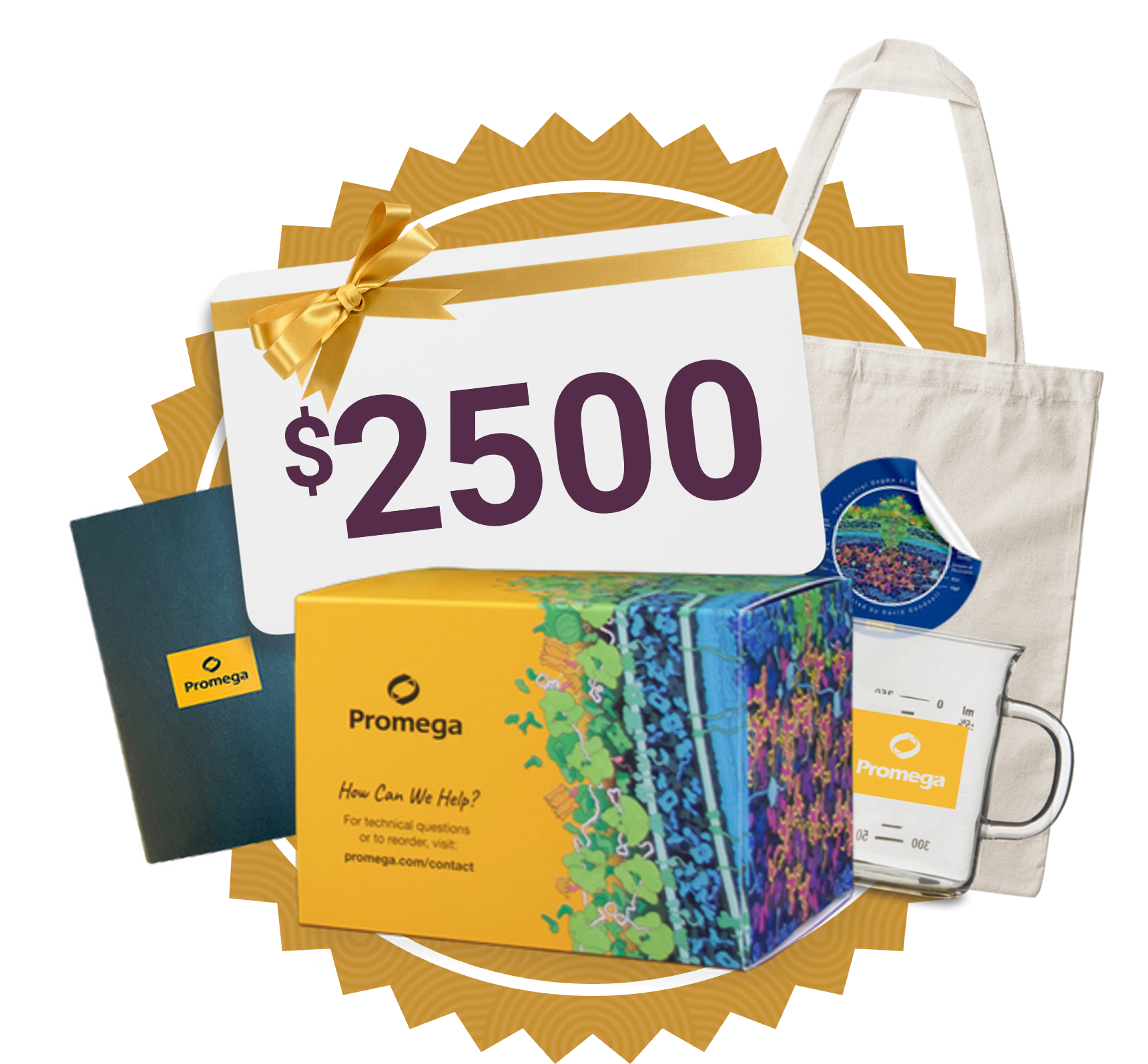 2nd place 2500 gift card and prizes