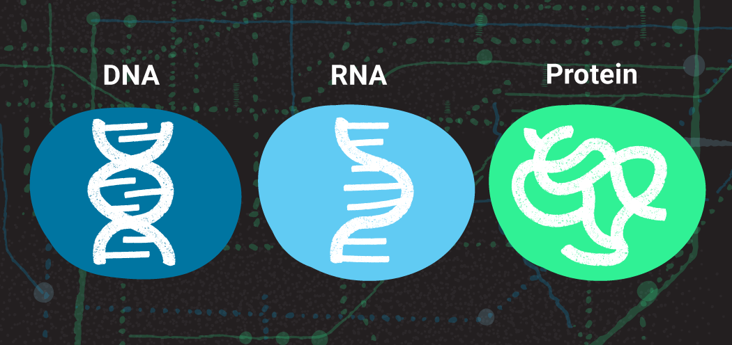 microbiome-article-central-dogma-spot