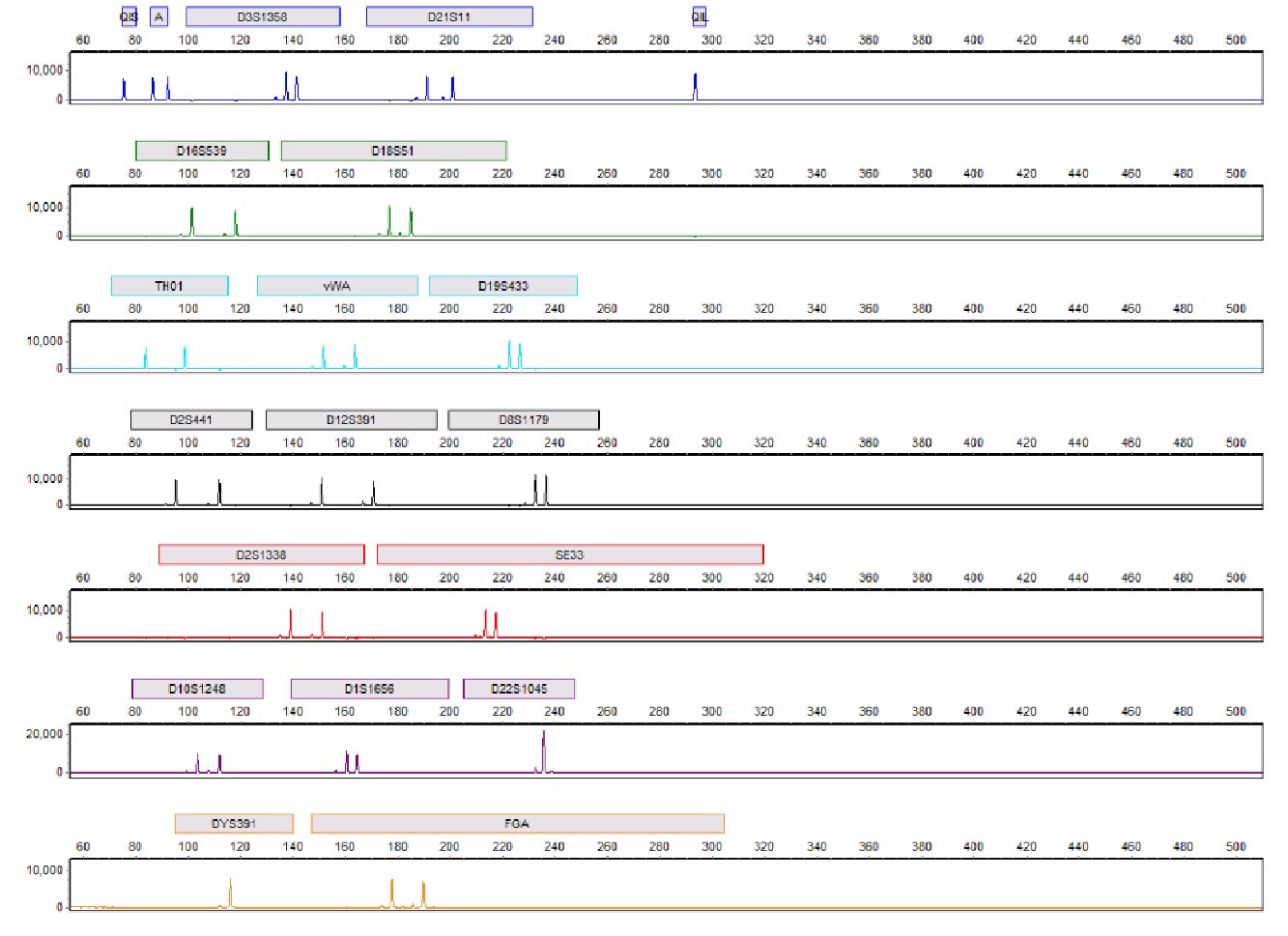 PowerPlex® 18E profile of 0.5ng 2800M Control DNA amplified for 30 cycles in 25μl reactions; electrophoresis performed on the Spectrum Compact CE System.