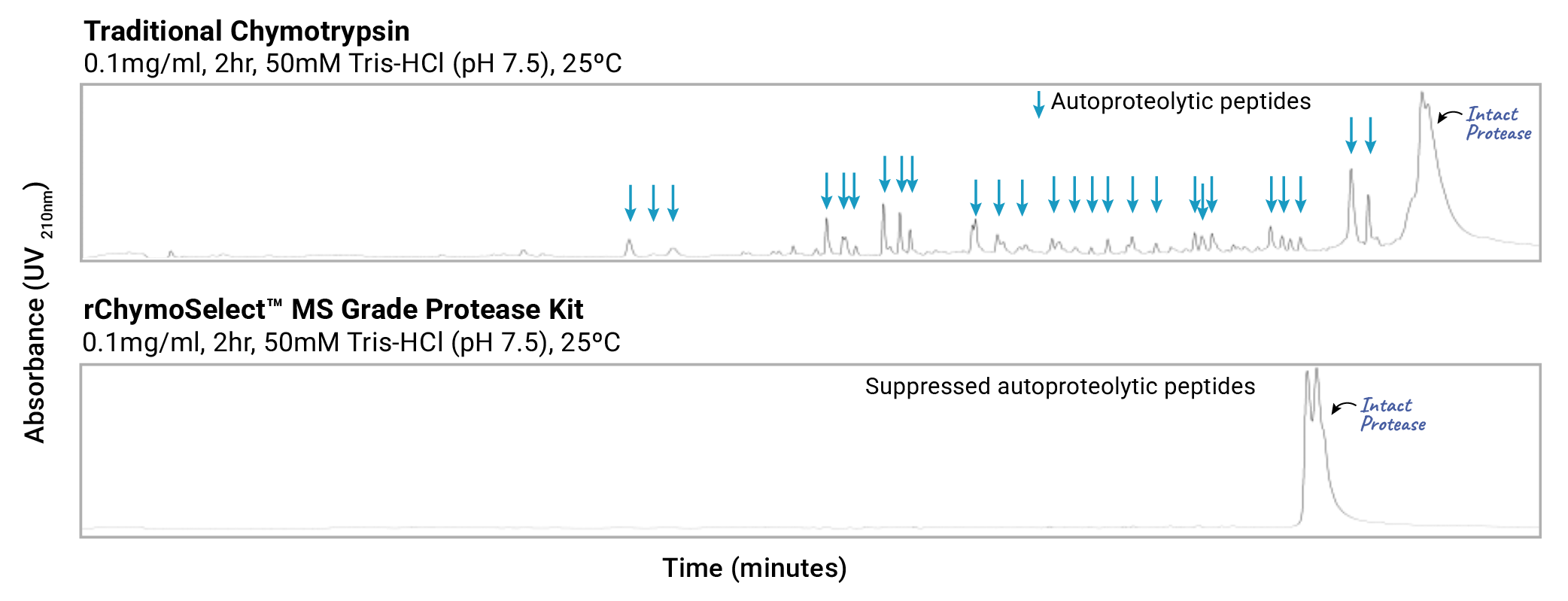 UPLC chromatograms comparing traditional chymotrypsin and rChymoSelect™ MS Grade Protease Kit resistance to autoproteolysis.