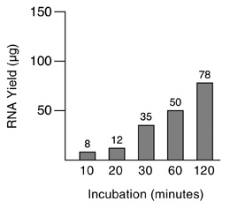 RNA yield from RiboMax Express RNA production system