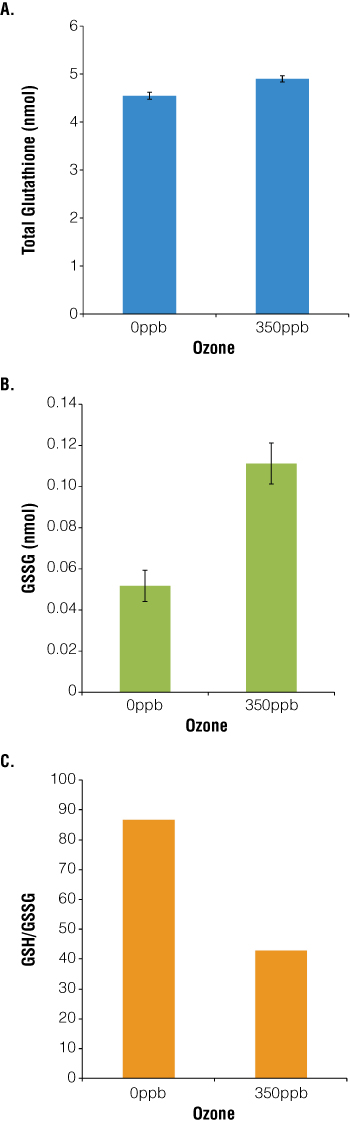 03 exposure increases absolute and relative levels of glutathione and GSSG.