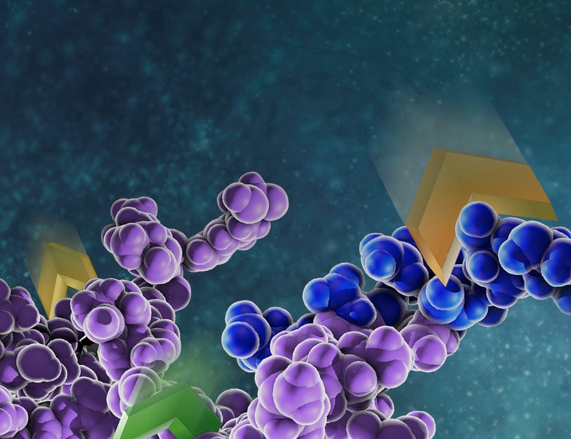 RR-Rapid-Trypsin-812x624