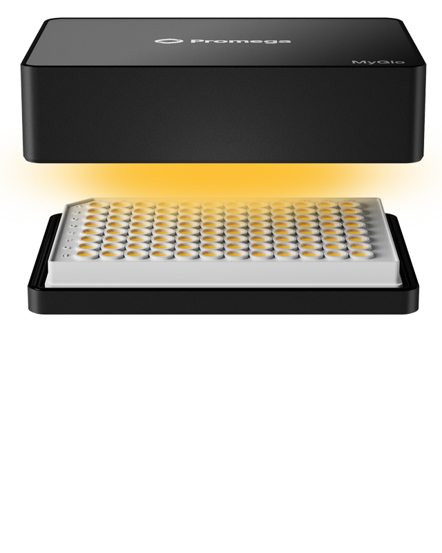 myglo-open-glow-640x800