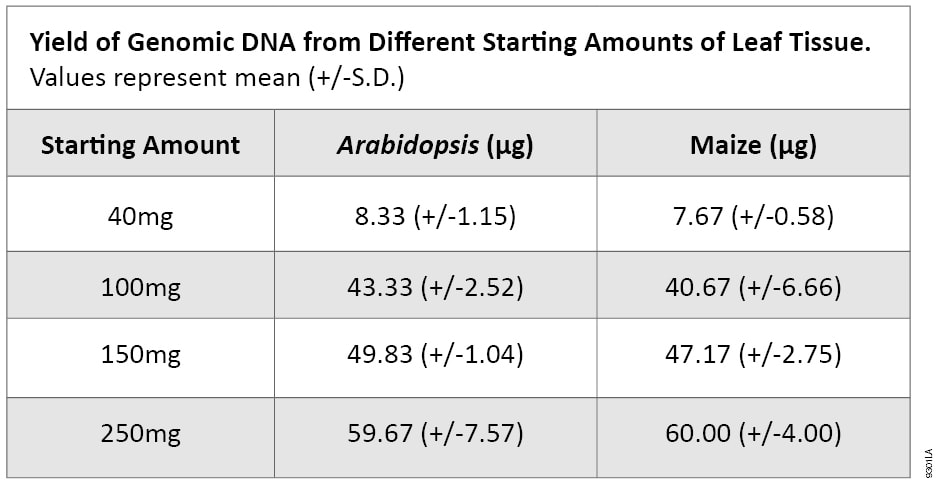 Yield of Genomic DNA from Different Amounts of Leaf Tissue.