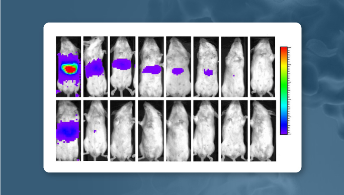bioluminescence-imaging-additional-resource-tile