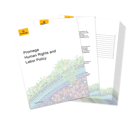 code-of-conduct-human-rights-web