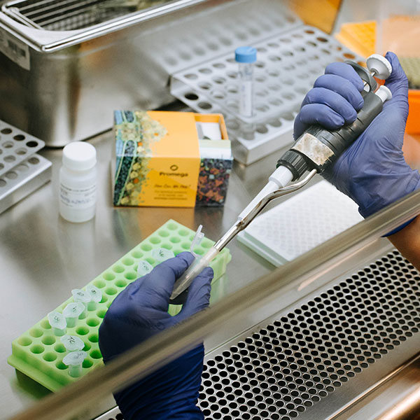 psiCHECK™-2 Vector | RNAi Assay