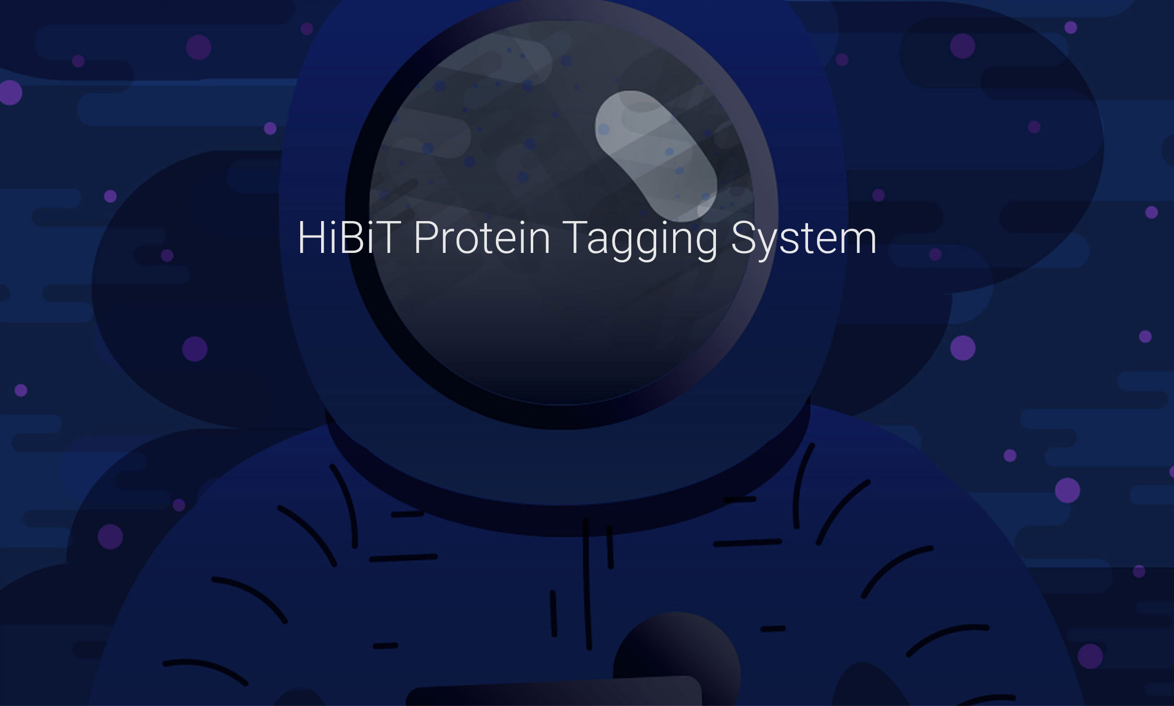 Hibit Detect hibit タグ | hibitタグ とは – PWAJ